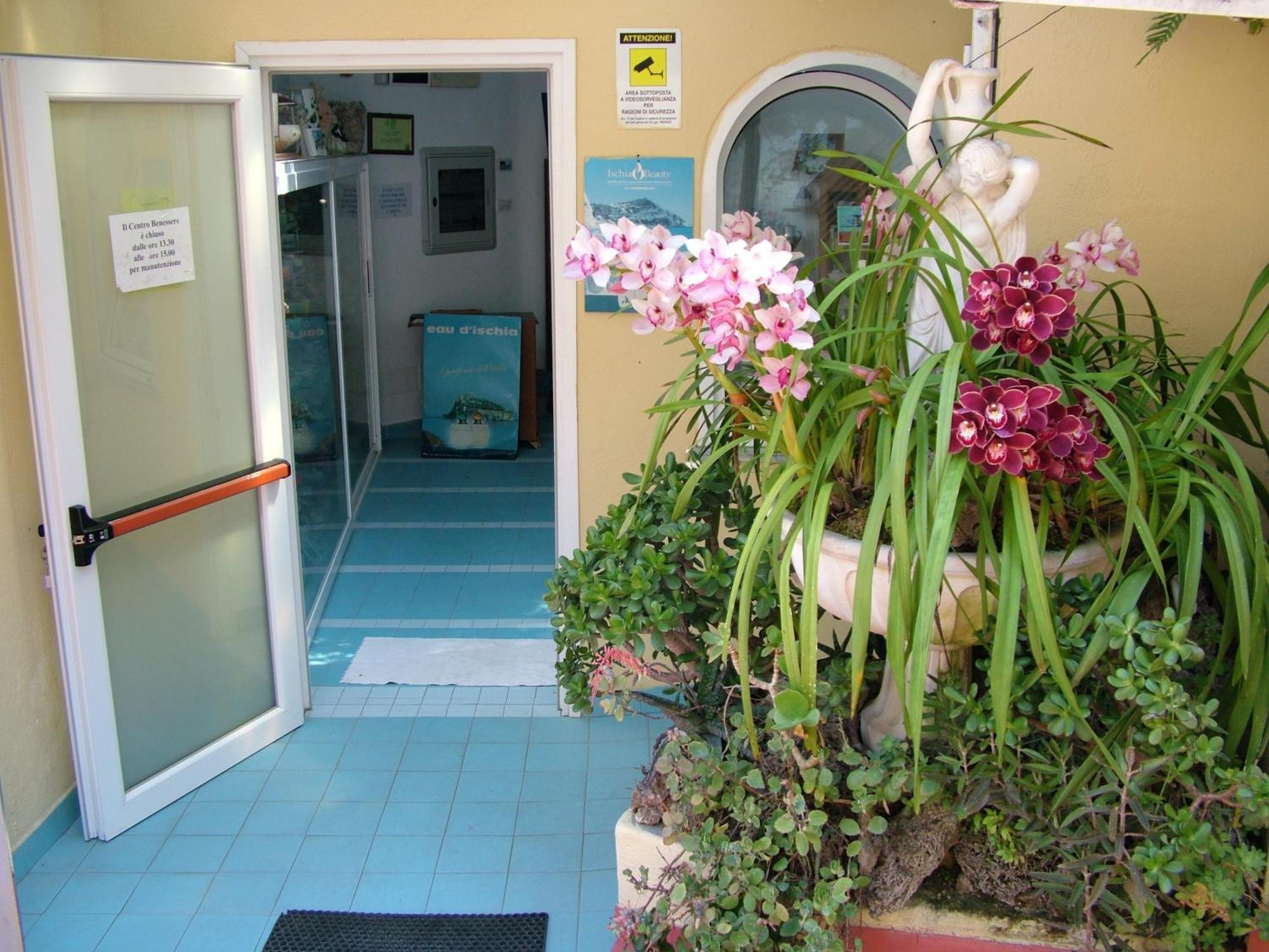 Hotel Giardino Delle Ninfe E La Fenice Ischia Bagian luar foto